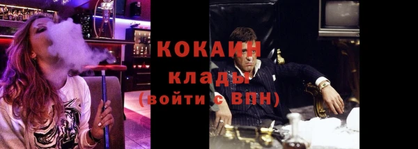 СК Белокуриха