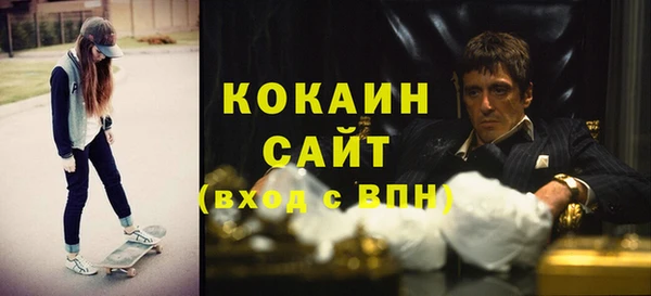 мдпв Каменногорск