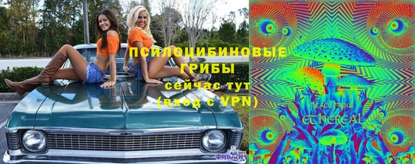 стаф Каменск-Шахтинский
