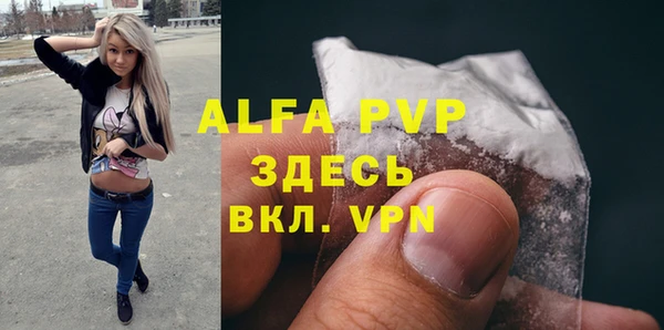 СК Белокуриха