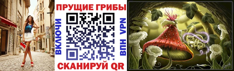 kraken tor Конаково Галлюциногенные грибы Psilocybine cubensis наркота